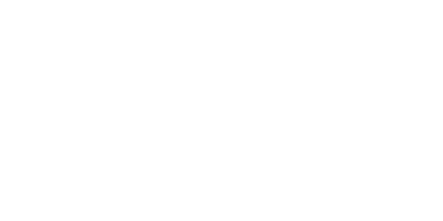 Feature Plastering